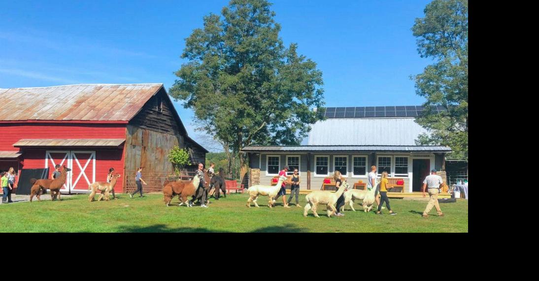 Clover Brooke Farm