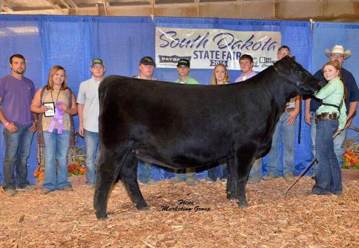Winning heifer