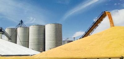 Cooperation: For a century, cooperatives have existed to help producers