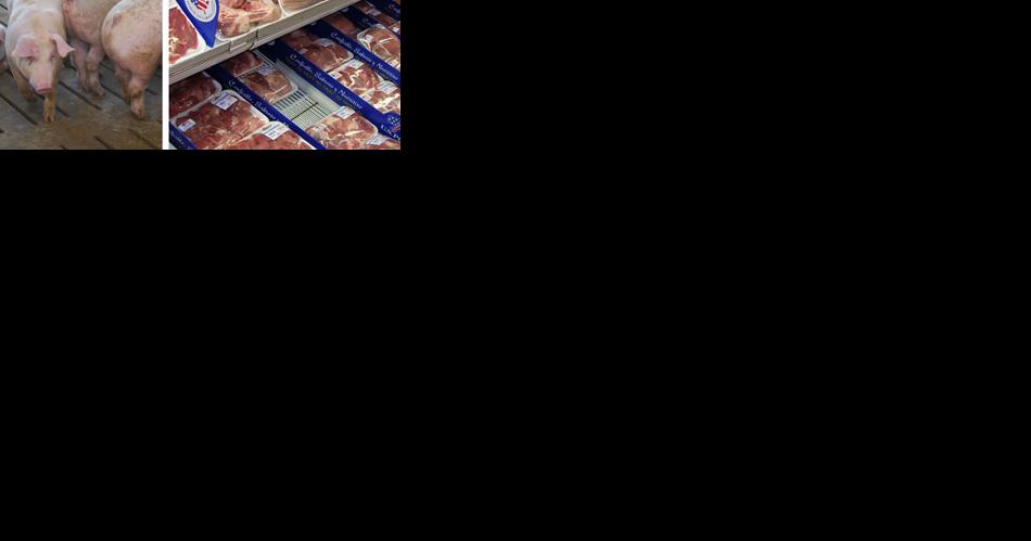 Record volume of pork shipped to Central America - Vimarsana News