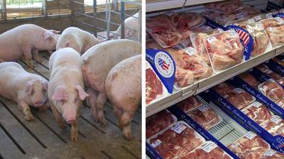 Pigs with retail pork