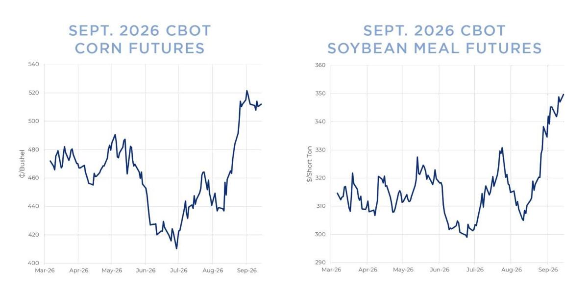 Corn, soybean futures