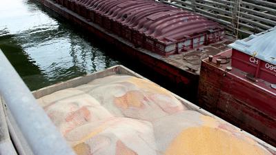Soybean export barge photo 0403