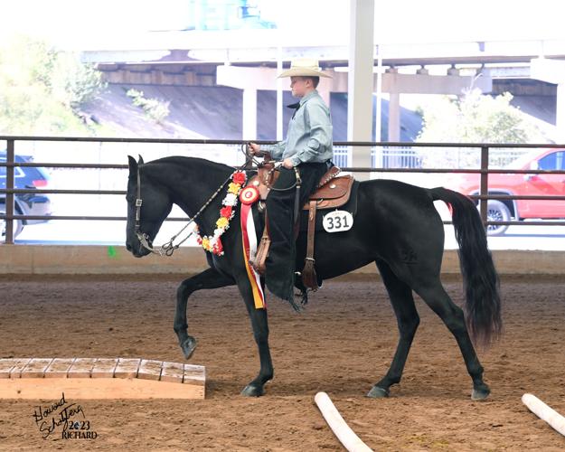 5 -- 666-045-23GN Welch Unlimited Usage schatzberg photography.jpg