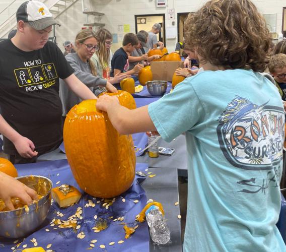 Josie Bailey pumpkins