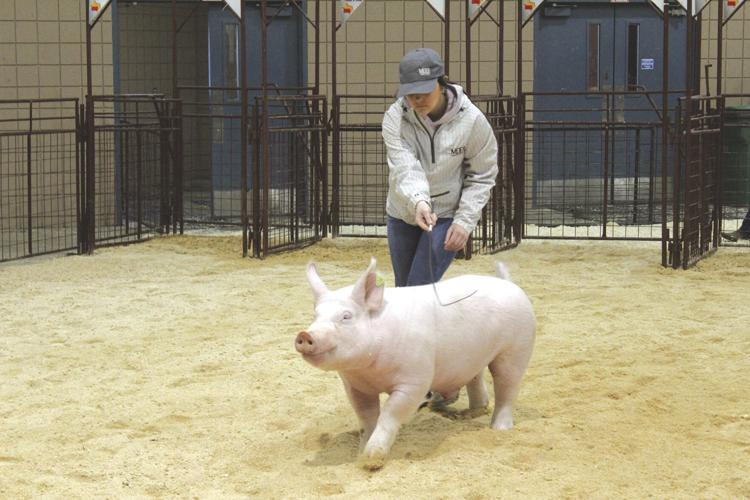 SELS 2024 (32) - worked.jpg