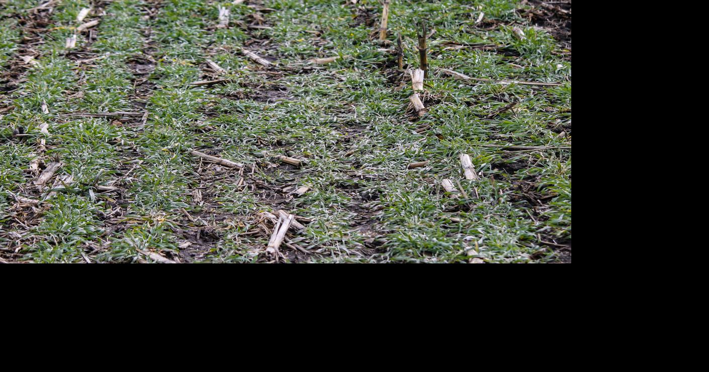 Use framework for farm goals, trade offs