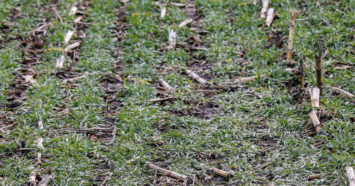Use framework for farm goals, trade offs