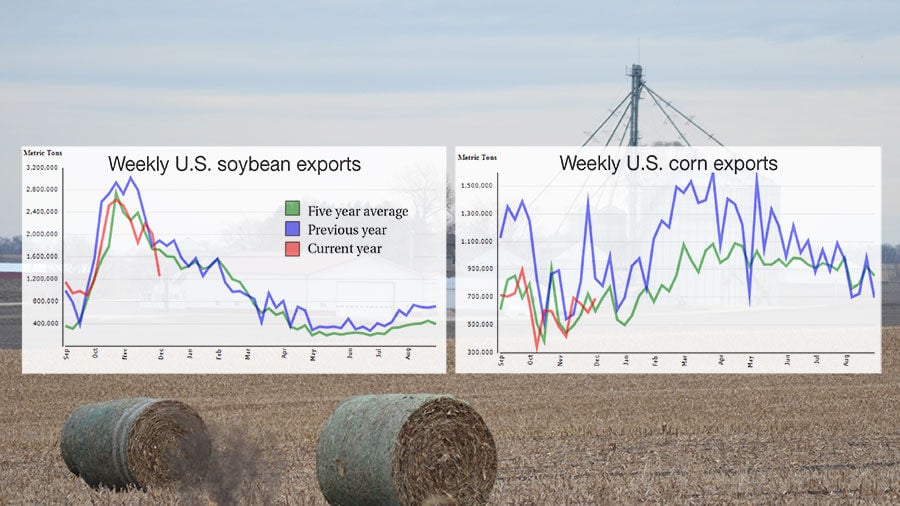 corn and soybean exports recap graphic