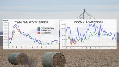 corn and soybean exports recap graphic