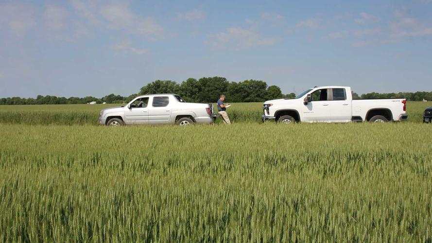 Mark-Miller-tallying-scores-wheat-tour