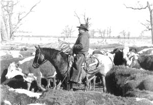 Lifelong cowboy continues team roping career at 87