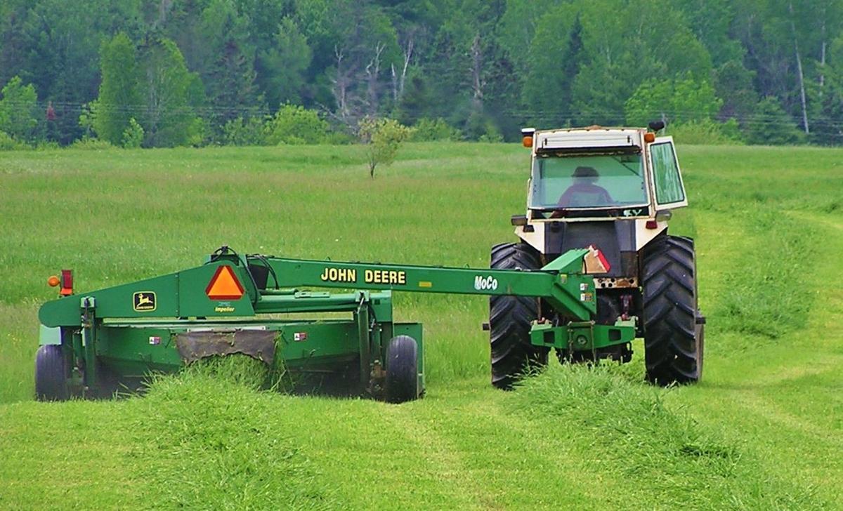 Tractor in field cuts hay