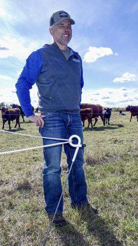 Tim Mika
