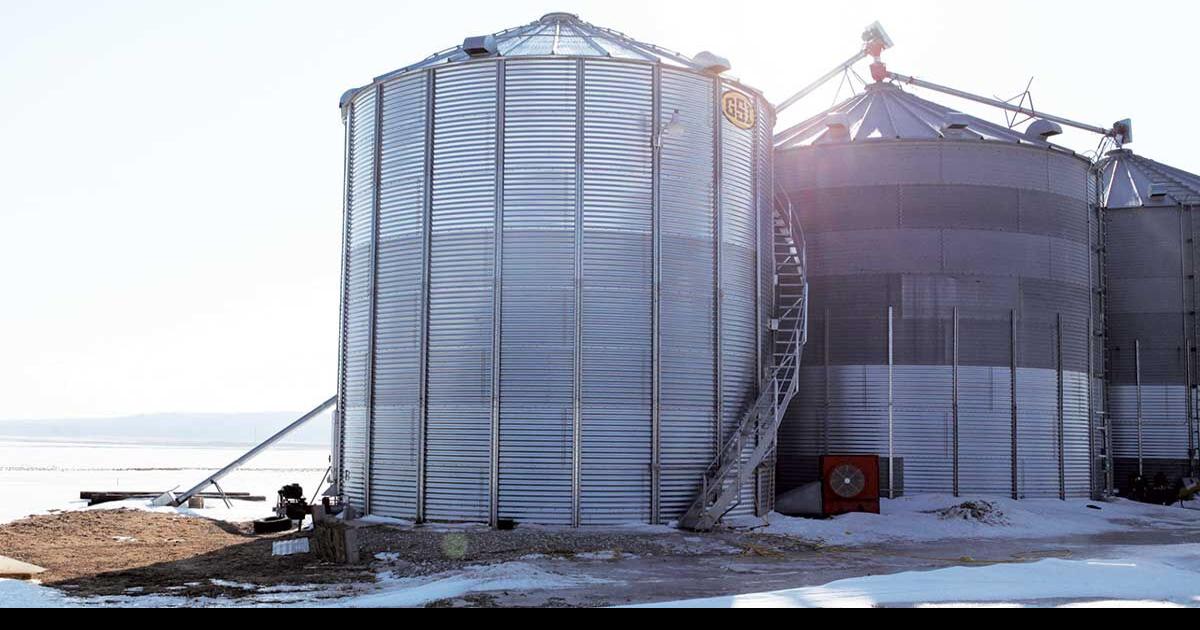 Cold temps can be used to preserve grain