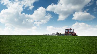 No-till, fall cover crops offer multiple financial benefits