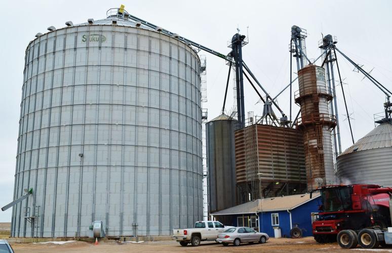 Appell Grain storage bin and elevator