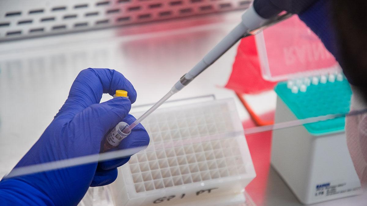 Iowa State University’s Veterinary & Diagnostic Laboratory samples