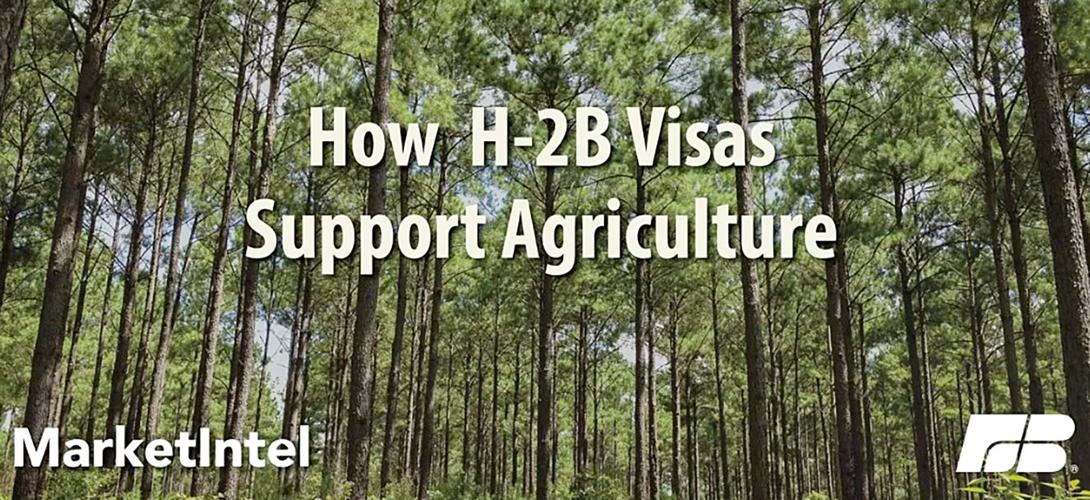 How H-2B visas support agricutlure