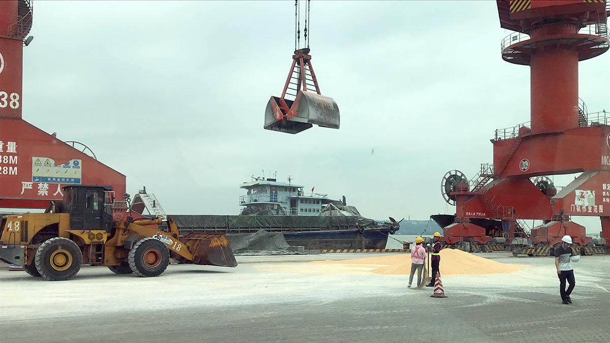 China grain market USGC dock photo