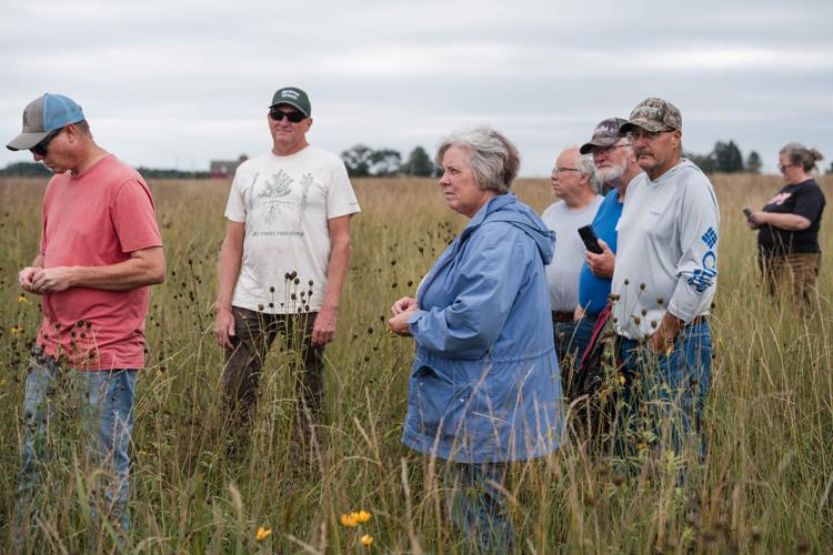 Kernza Field Day