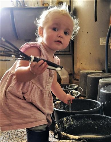 Tom Jandt's granddaughter mixing milk replacer