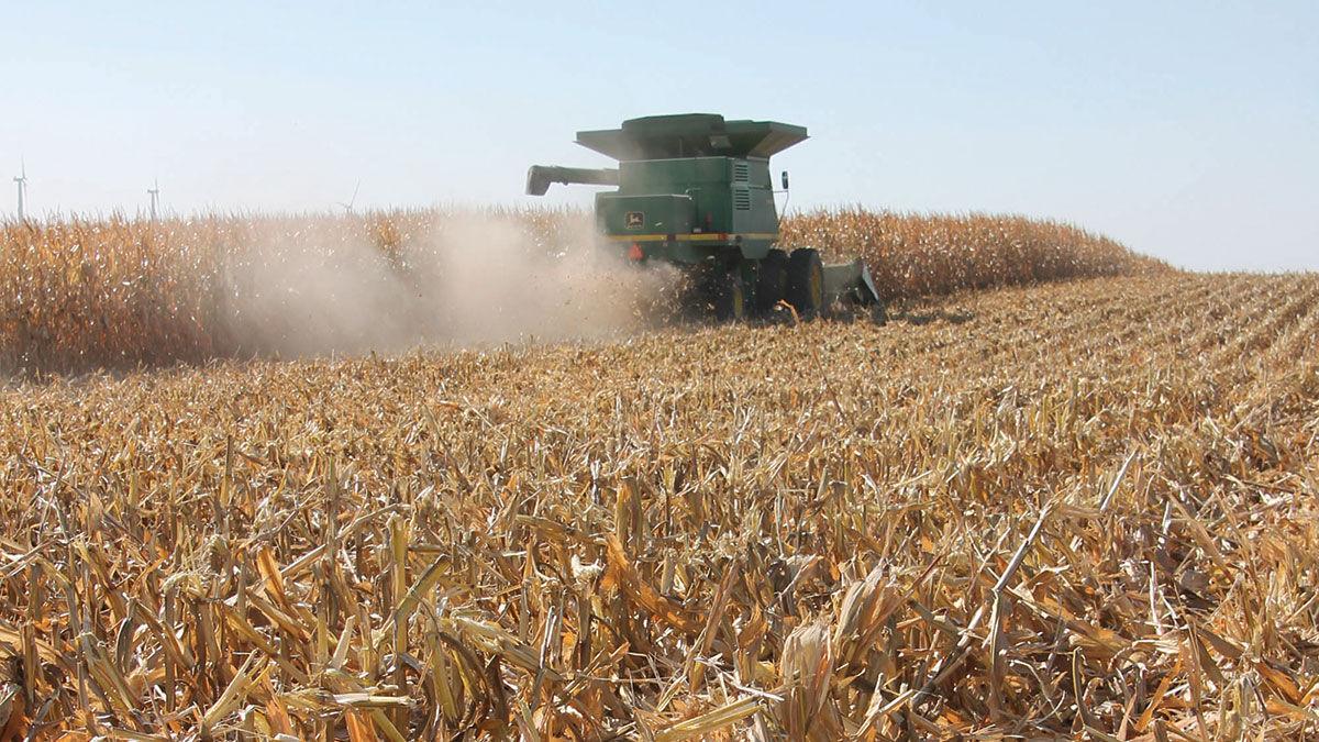 Jerry Lyon harvests