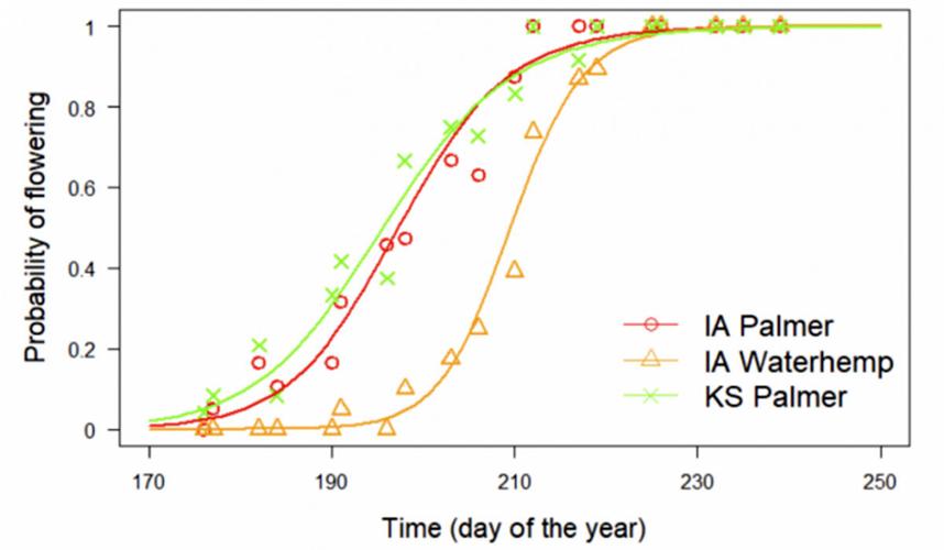 Palmer amaranth in Iowa Past, present and future