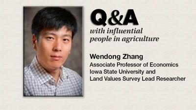 Wendong Zhang