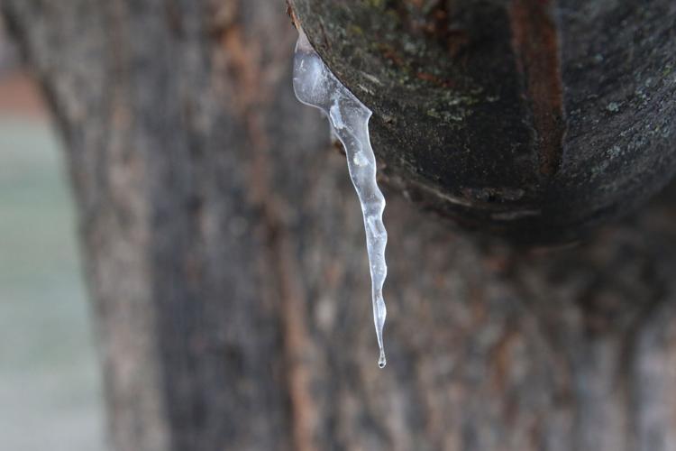 Icicle