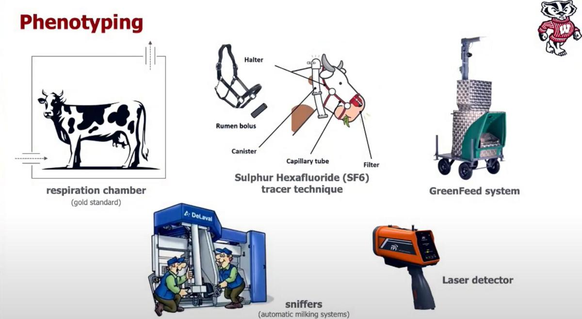Phenotyping graphic