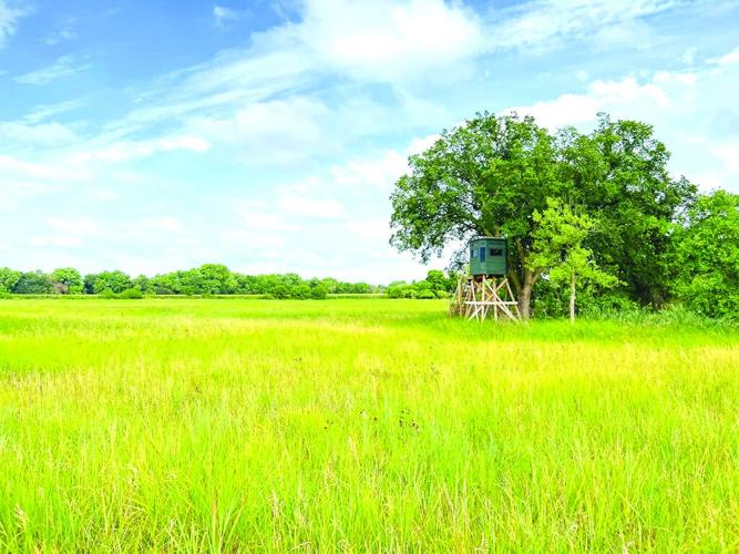 Hunting access (1) - worked.jpg