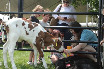 Dairy Fest (4).JPG