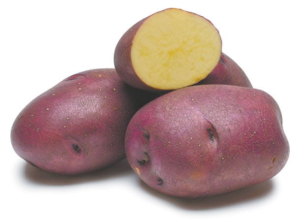 huckleberry gold potato