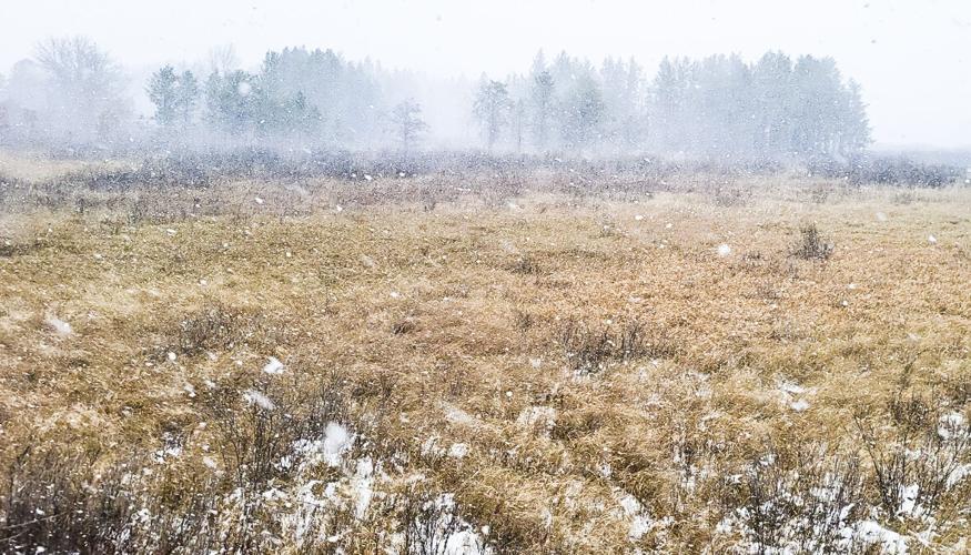 Snow on fields