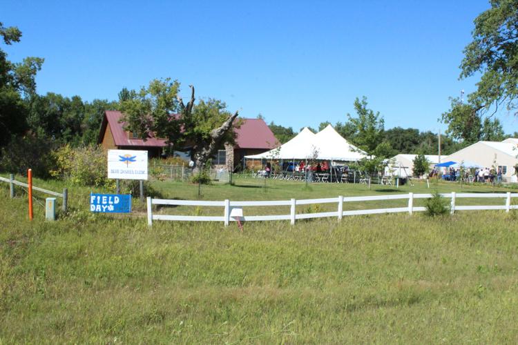 Blue Dasher field day (2).JPG