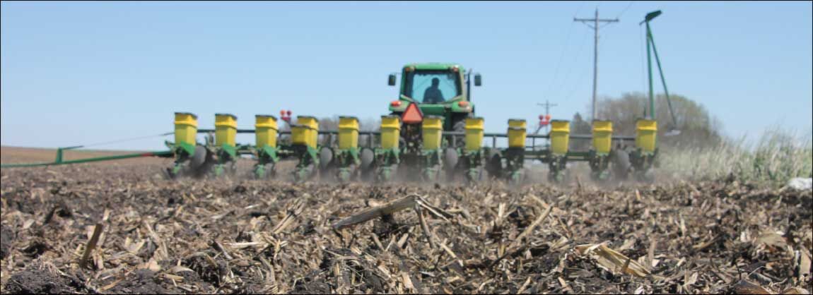 planter in field