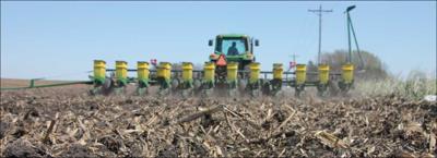 planter in field