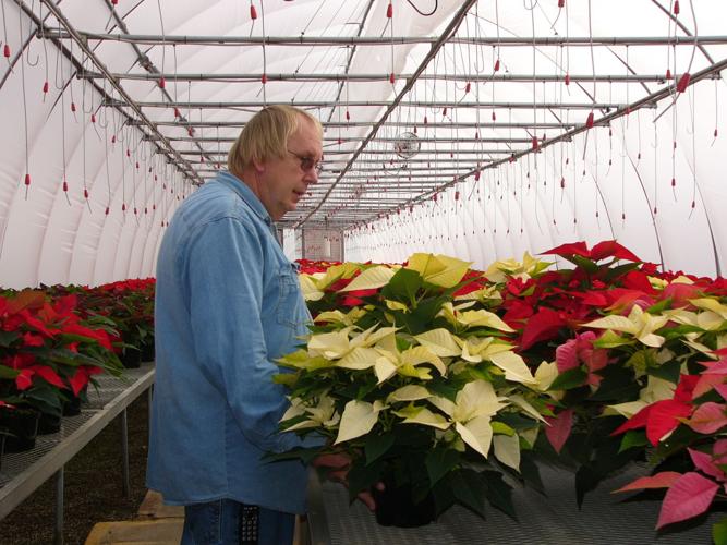 Gathje tending plants