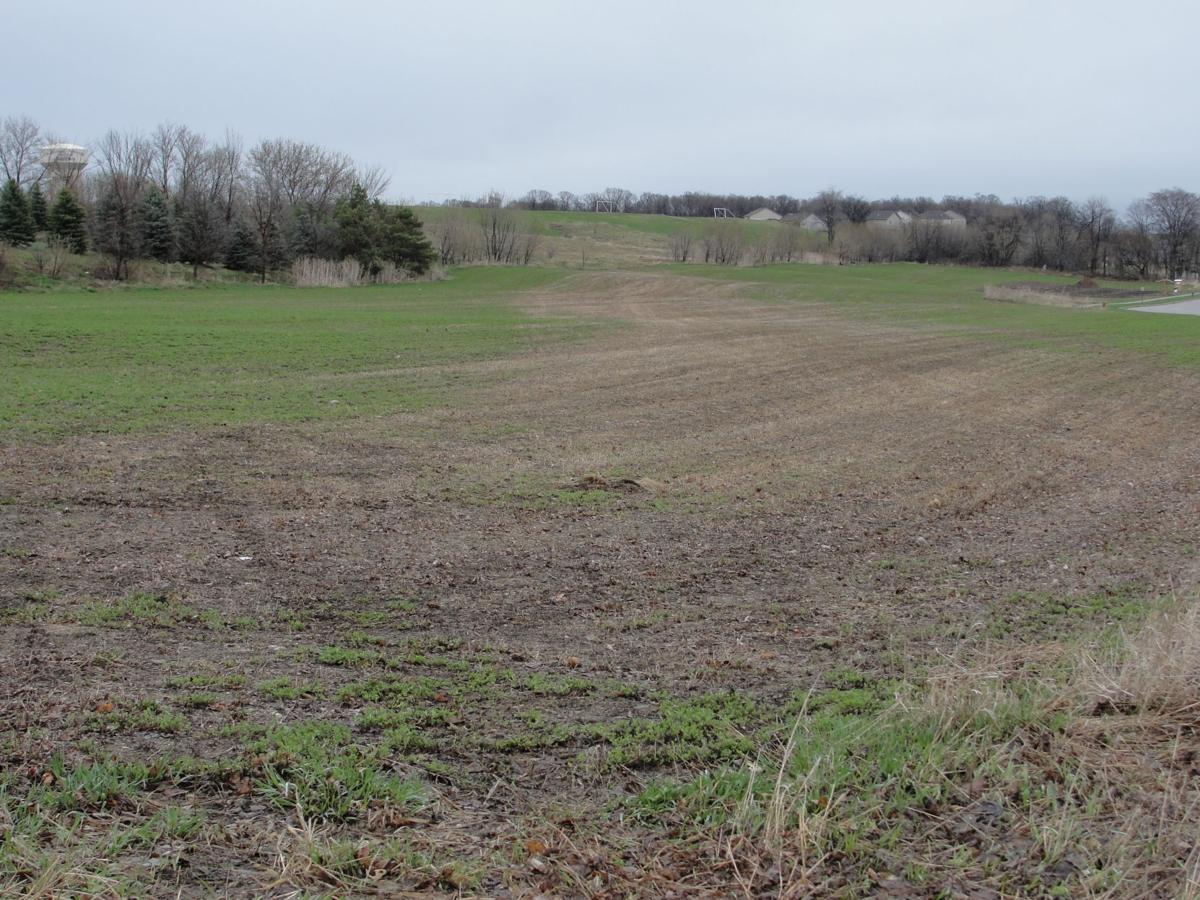 Alfalfa winter kill