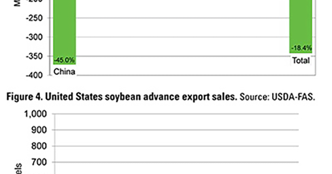 ‘A bit of a spark’ in U.S. soybean exports