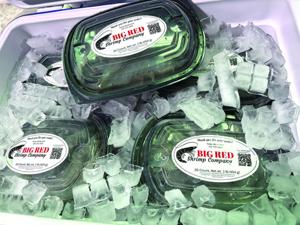 Shrimp farming (11) - worked.tif