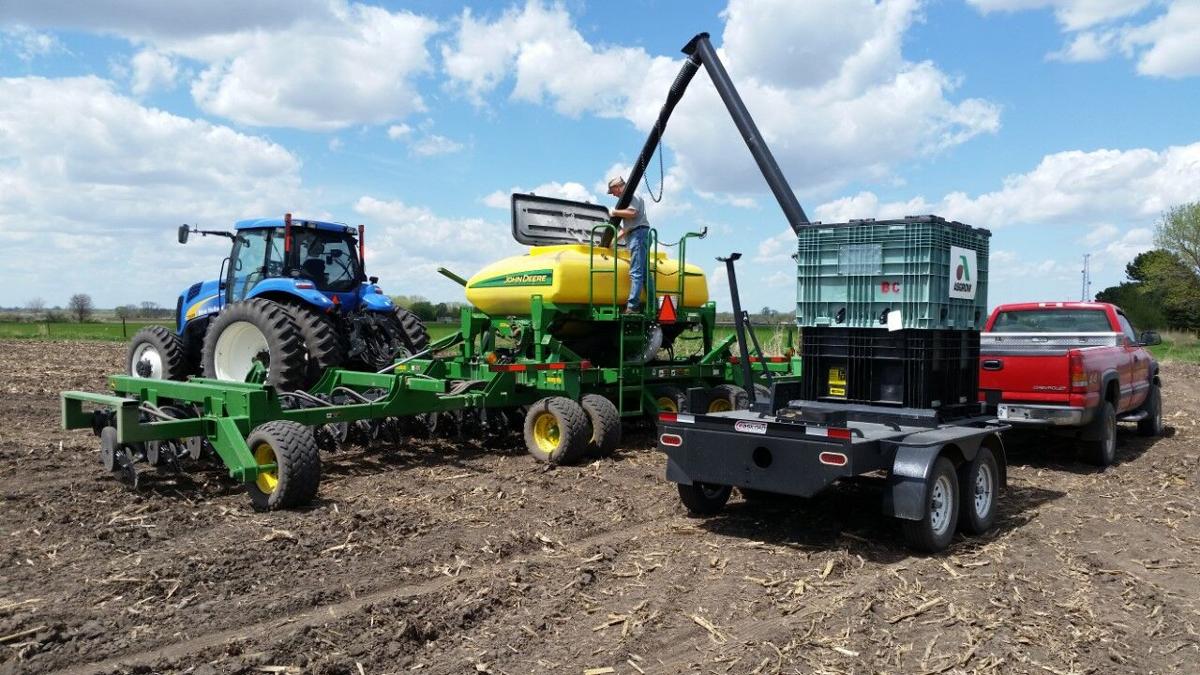 Soybean planting