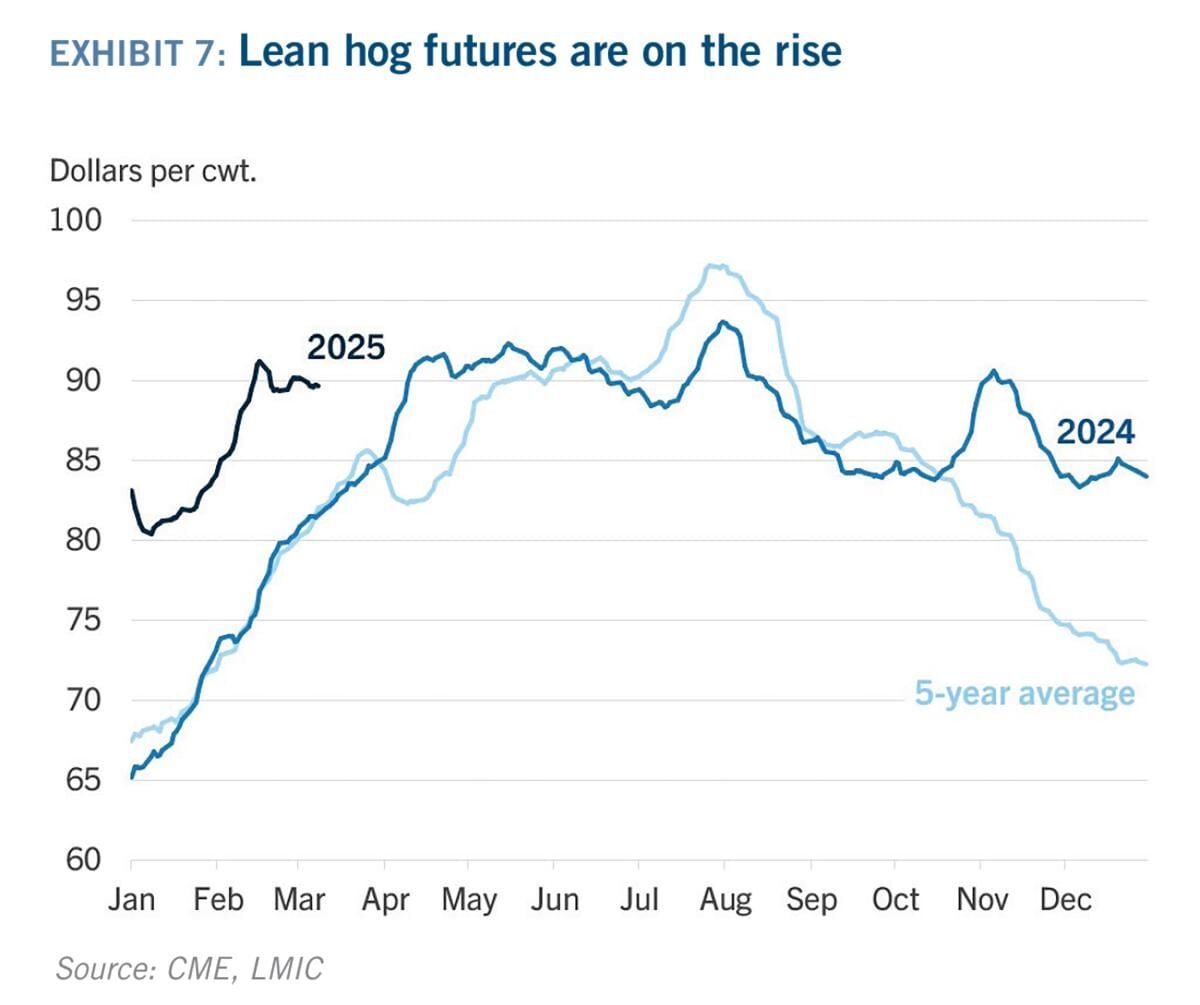 Lean hogs