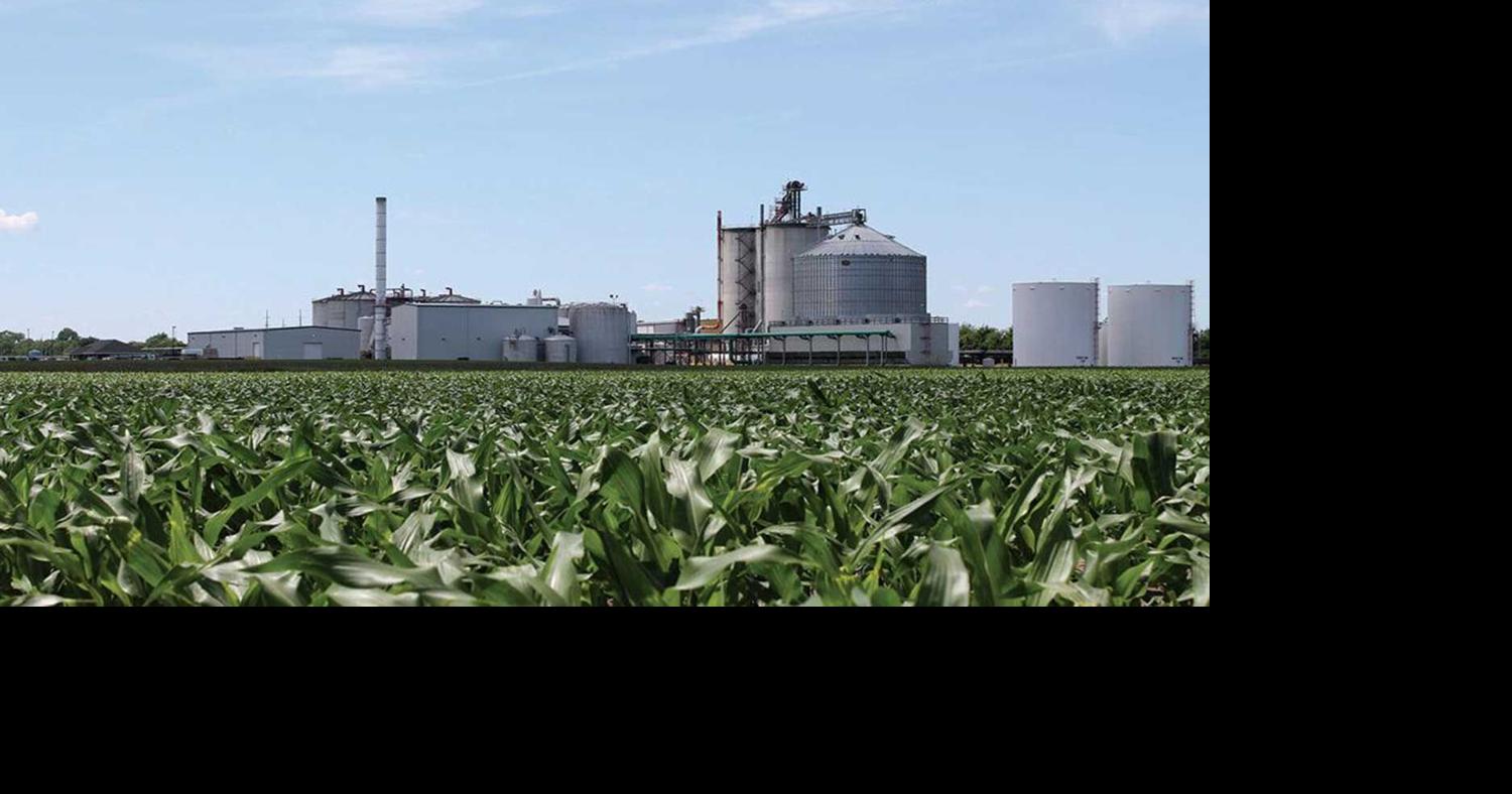 Consider Corn Challenge winners create new products with corn