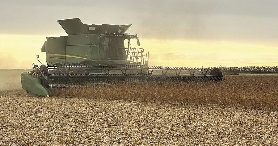 Markets await August crop yield estimates
