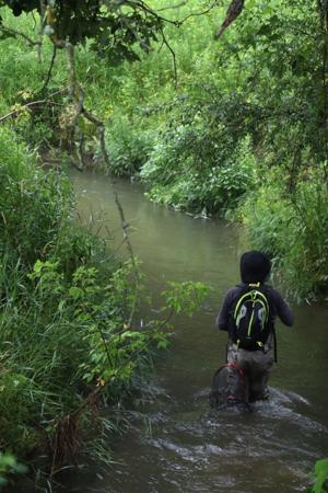 Fisher