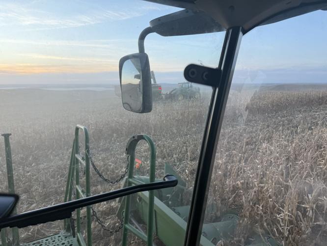 CW Holzwarth corn harvest sunset