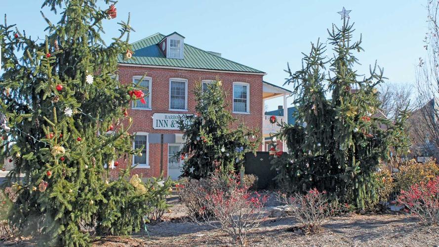 Hermann-outdoor-trees-4