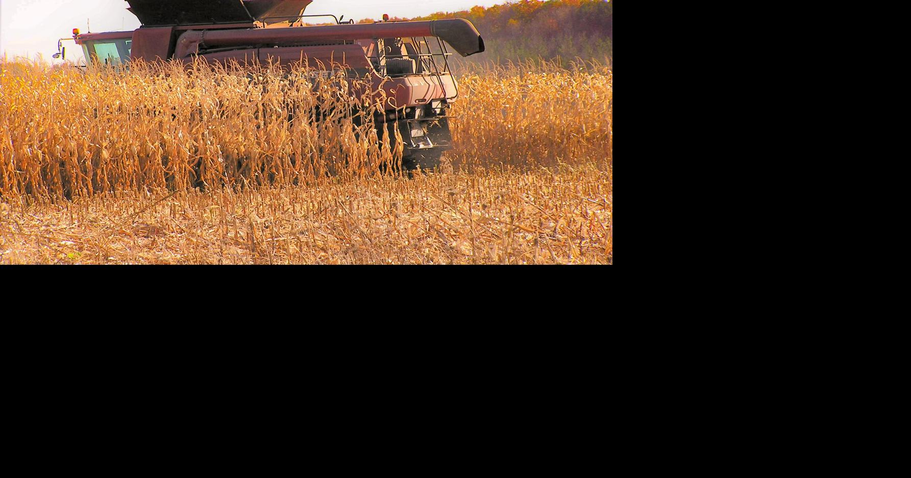 Compare U.S., Brazil corn costs